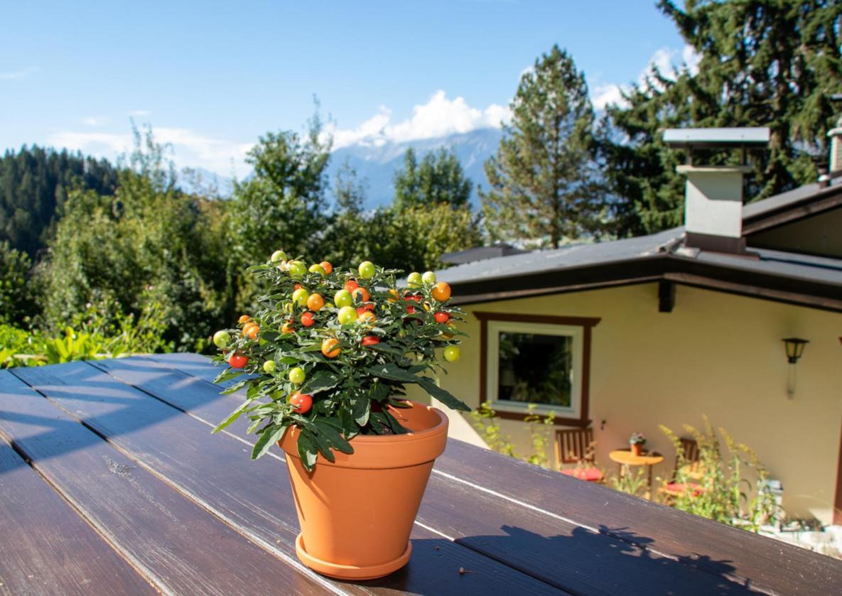 Appartement 'Oachkatzl' Grossvolderberg Bagian luar foto